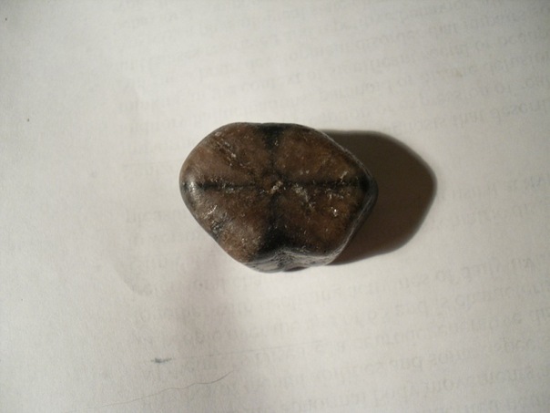 Энергия камней № 40 Хиастолит (окатанный камень) фото, обсуждение